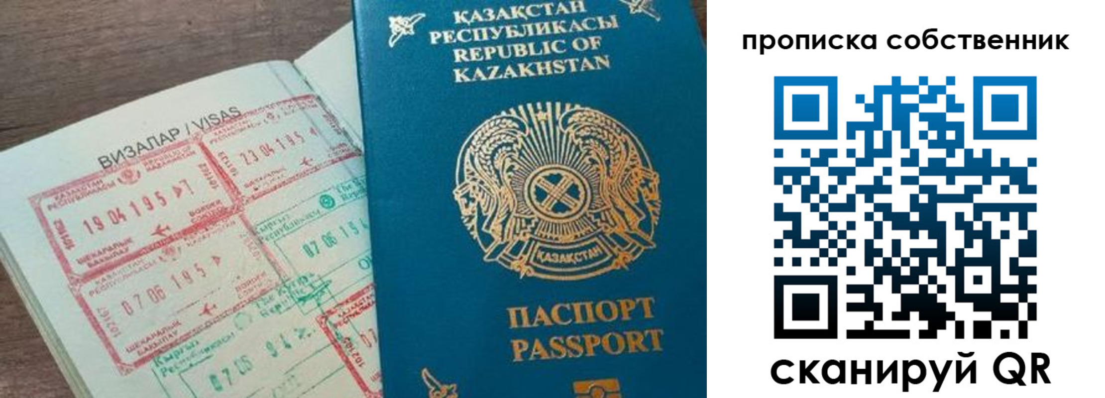 прописка гарантия в Фокино
